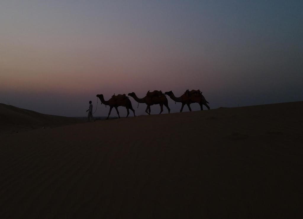 _dsc5547_882fb-_dsc5547